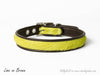 Brightside Slim Dog Collars by Holly&Lil