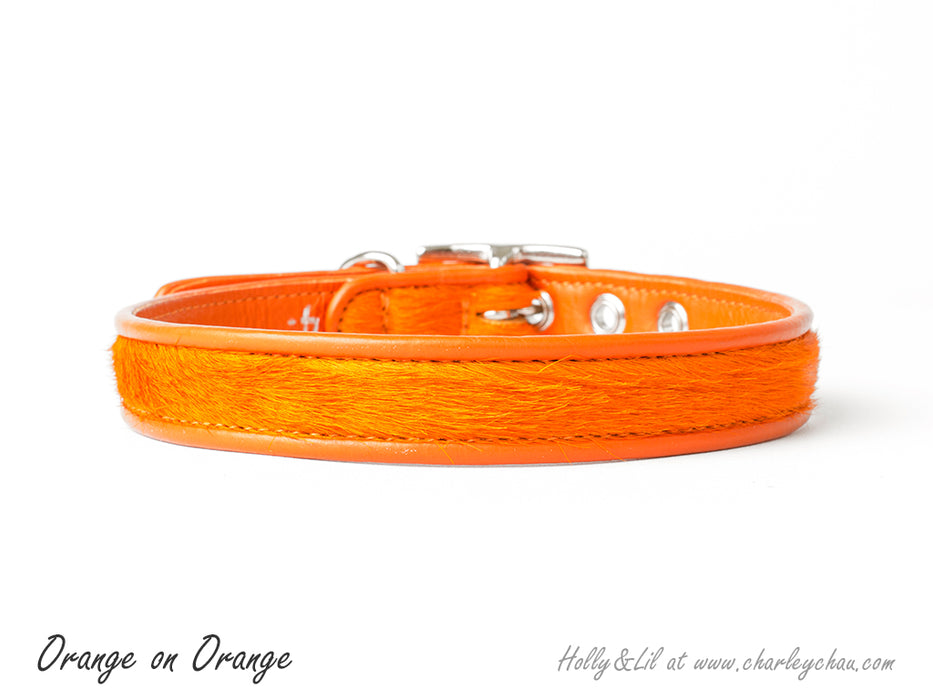 Brightside Slim Dog Collars by Holly&Lil