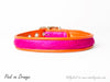 Brightside Slim Dog Collars by Holly&Lil