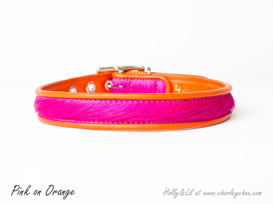 Brightside Slim Dog Collars by Holly&Lil