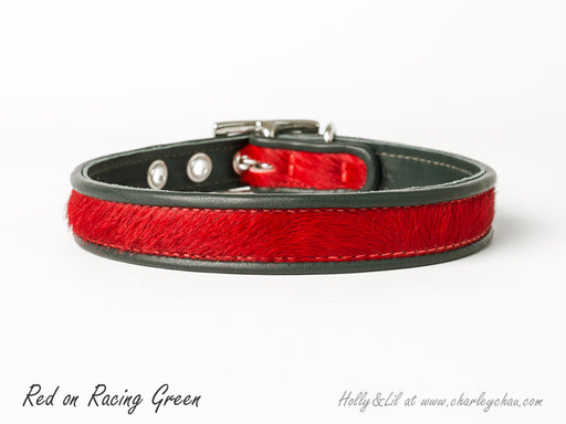 Brightside Slim Dog Collars by Holly&Lil