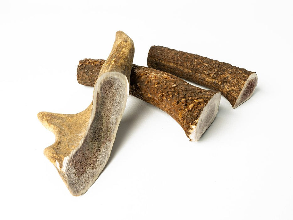 Stag Antler Dog Chew - Standard Tough