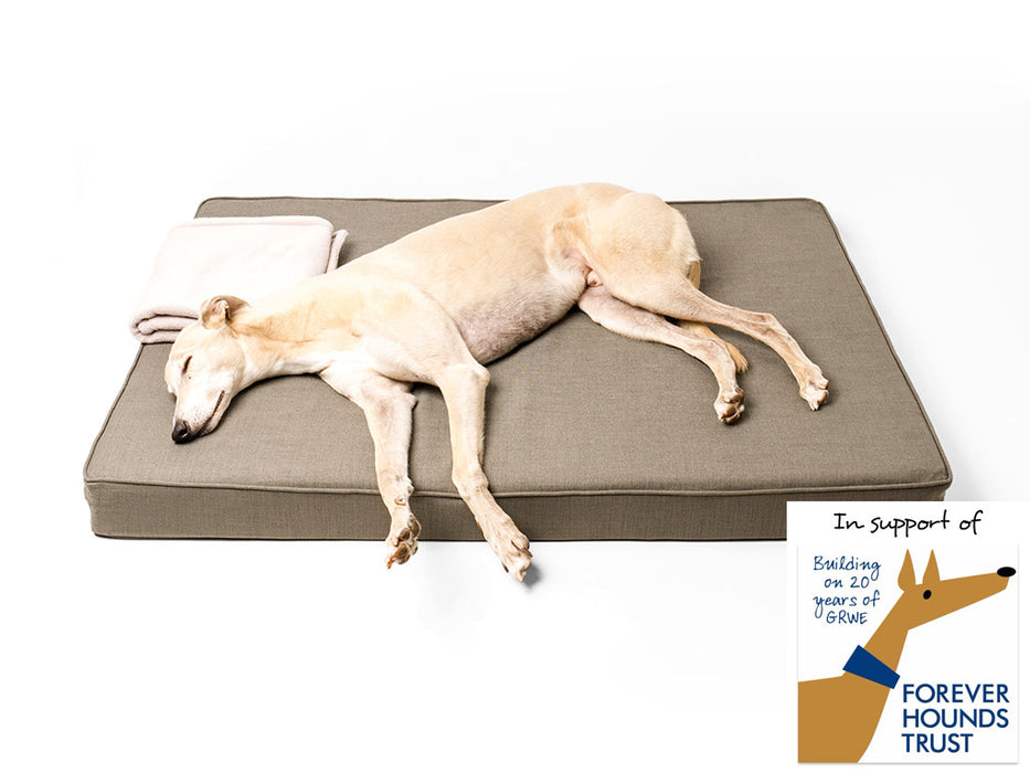 The Forever Hounds Trust Big Memory Foam Dog Bed in Earth