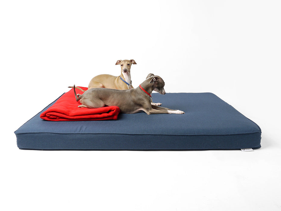 Tino and Theo: "What do you think the rest of this giant bed is for?"