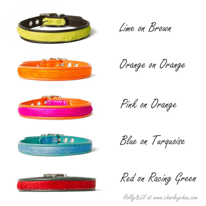 Brightside Slim Dog Collars by Holly&Lil