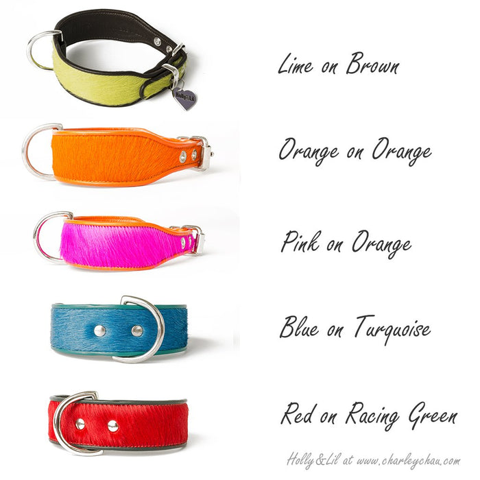 Brightside Dog Collar by Holly&Lil - Wide cut dog collar