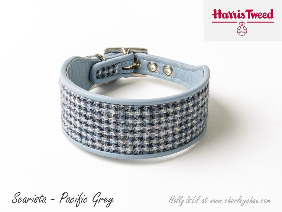 Sighthound Collar in Harris Tweed by Holly&Lil - for Italian Greyhounds, Whippets, Greyhounds and Lurchers