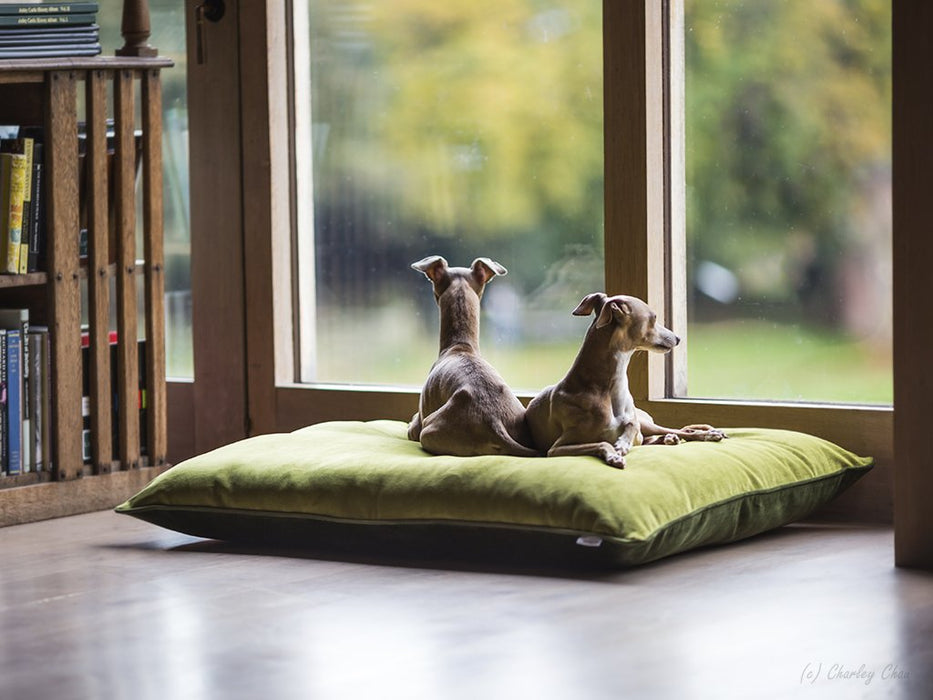 Charley Chau luxury dog bed mattress- in velvet upholstery fabrics