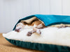 Charley Chau Snuggle Bed in Velour Teal