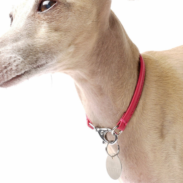 Petiquette Leather Dog ID Tag Collar - Leather House Collar 