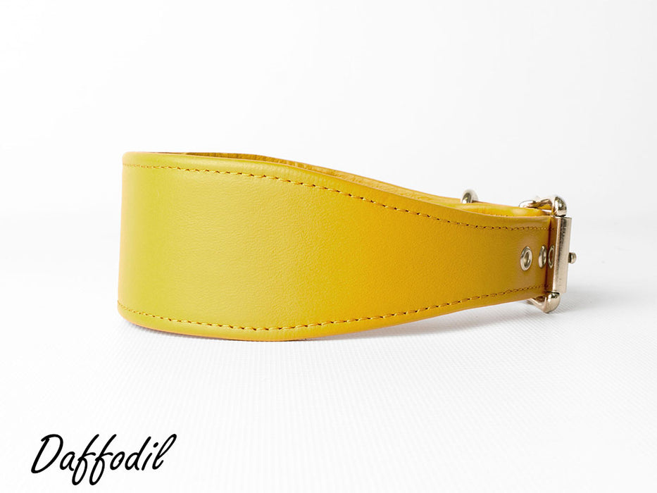 Sighthound Dog Collar - Leather Greyhound Collar 