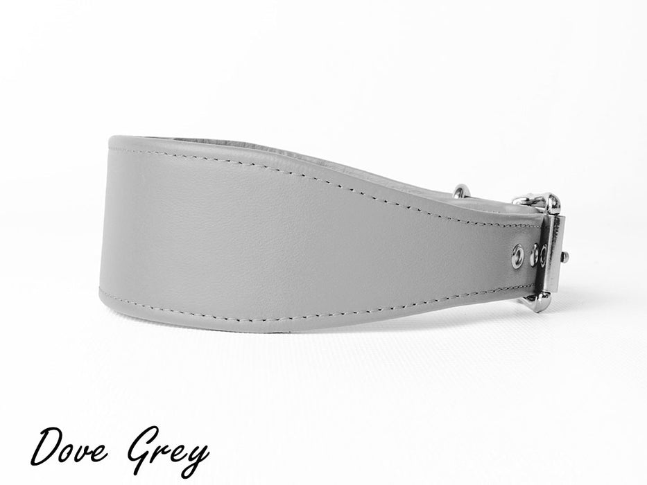 Leather Italian Greyhound Sighthound Dog Collar 