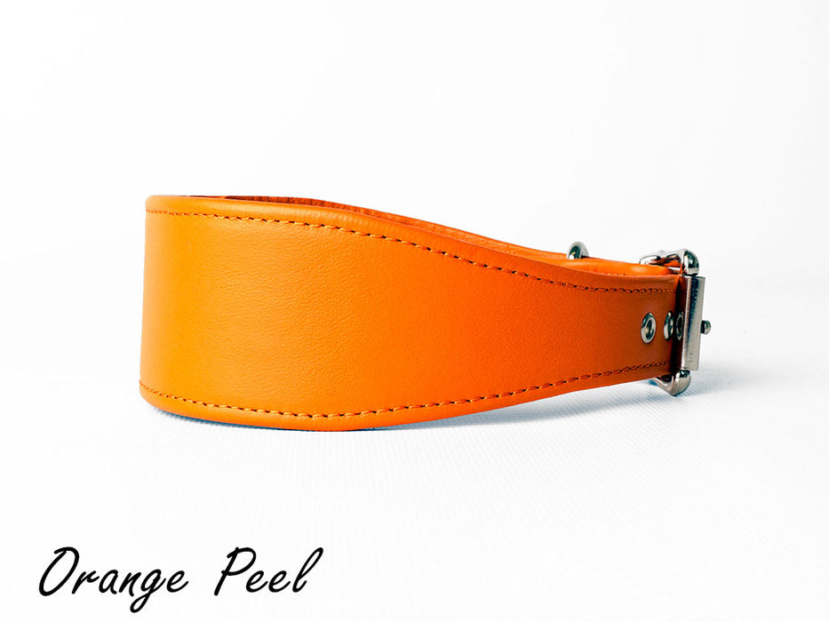 Sighthound Dog Collar - Leather Whippet Collar 