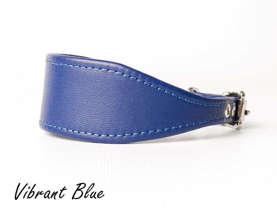 Leather Italian Greyhound Sighthound Dog Collar 