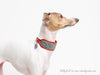 Sighthound Collar in Harris Tweed by Holly&Lil - for Italian Greyhounds, Whippets, Greyhounds and Lurchers