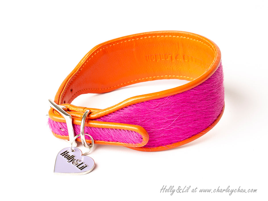 Brightside Sighthound Collars by Holly&Lil - for Italian Greyhounds, Whippets, Greyhounds, Lurchers and other Sighthound Dog Breeds