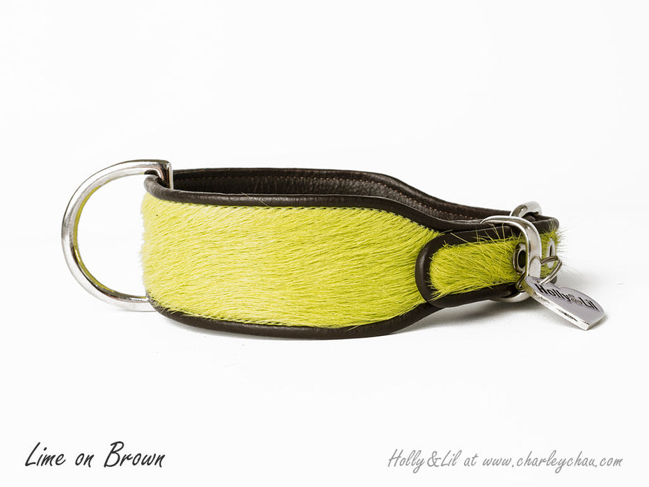 Brightside Dog Collar by Holly&Lil - Wide cut dog collar