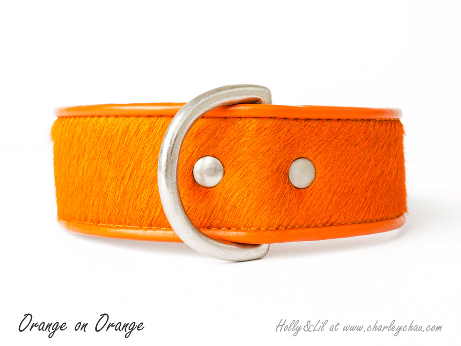 Brightside Dog Collar by Holly&Lil - Wide cut dog collar