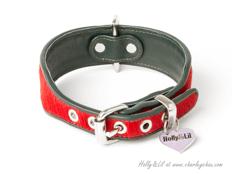 Brightside Dog Collar by Holly&Lil - Wide cut dog collar