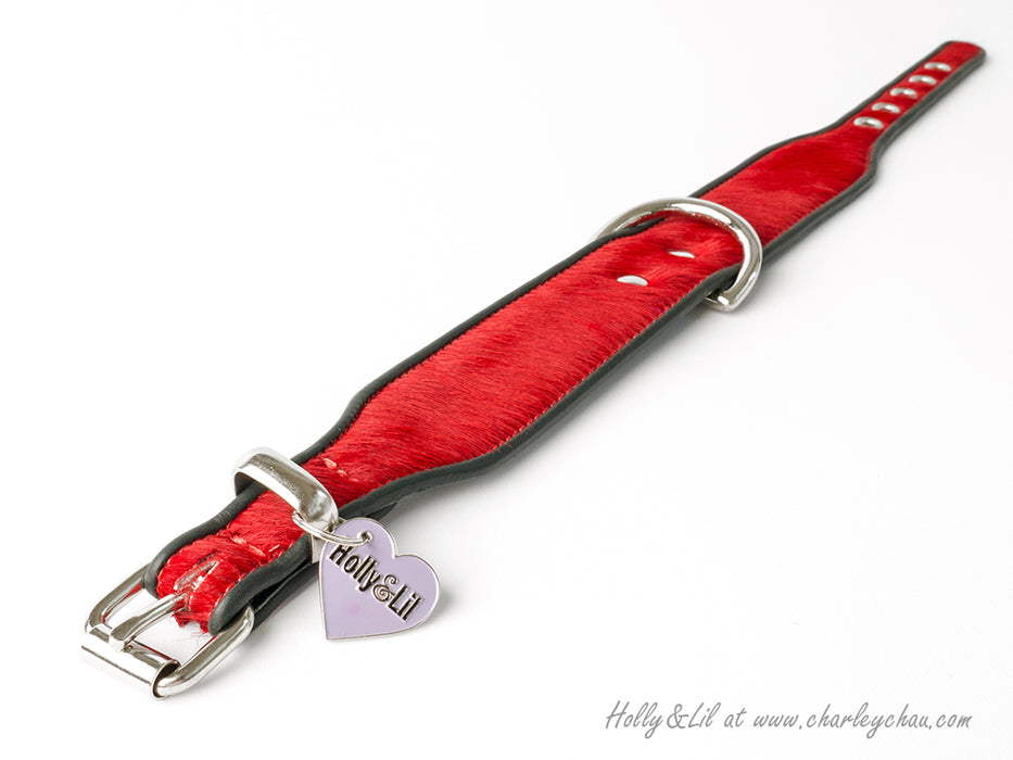 Brightside Dog Collar by Holly&Lil - Wide cut dog collar