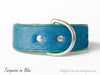 Brightside Dog Collar by Holly&Lil - Wide cut dog collar